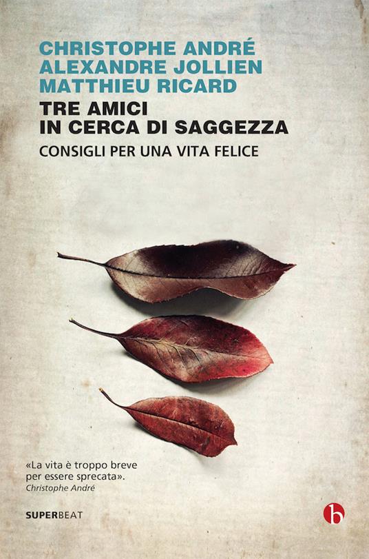 Tre amici in cerca di saggezza. Consigli per una vita felice - Christophe André,Alexandre Jollien,Matthieu Ricard,Francesco Baucia - ebook