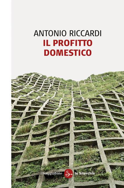 Il profitto domestico - Antonio Riccardi - ebook
