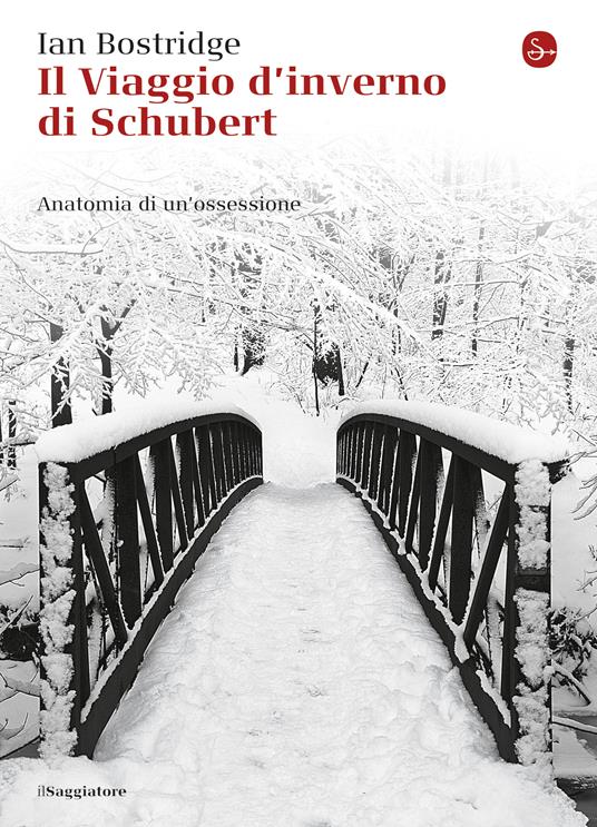 Il viaggio d'inverno di Schubert - Ian Bostridge - ebook