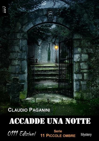 Accadde una notte. 11 piccole ombre - Claudio Paganini - ebook