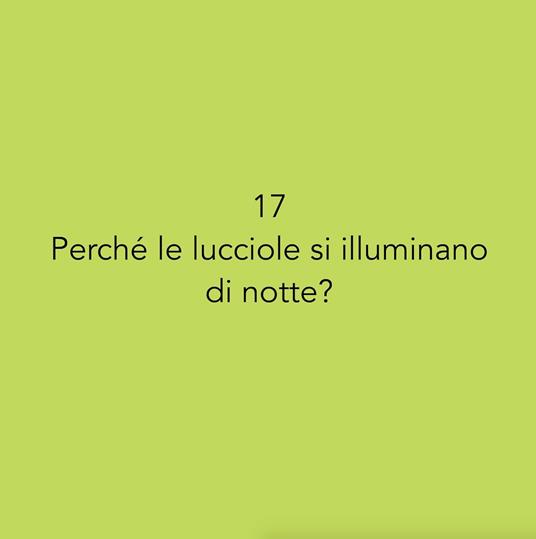 50 domande. I bambini alla scoperta del mondo - Isabella Micheletti - 2