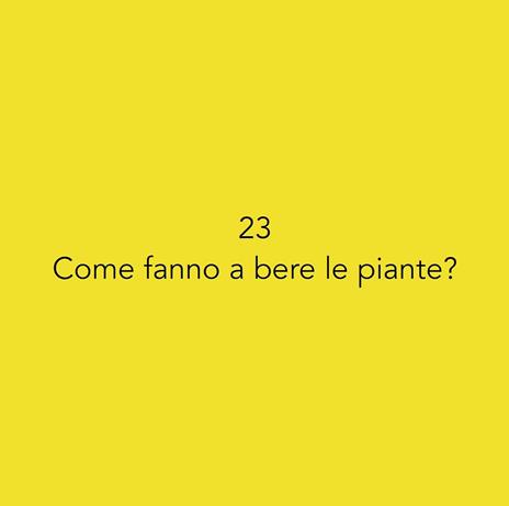 50 domande. I bambini alla scoperta del mondo - Isabella Micheletti - 4