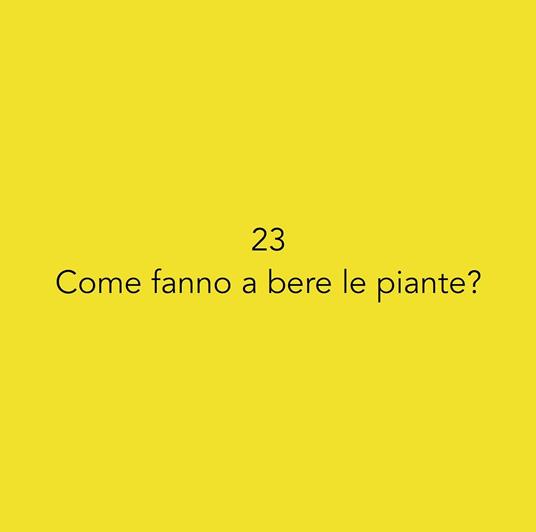 50 domande. I bambini alla scoperta del mondo - Isabella Micheletti - 4
