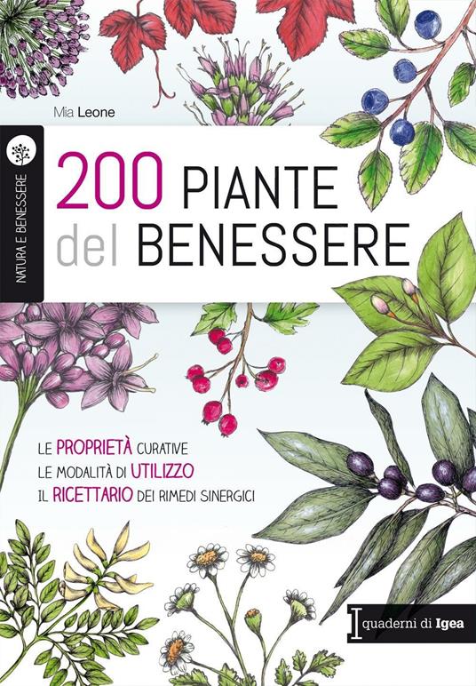 200 piante del benessere. Le proprietà curative, le modalità di utilizzo, il ricettario dei rimedi sinergici - Mia Leone - copertina