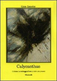 Calycanthus - Gino Zanette - copertina