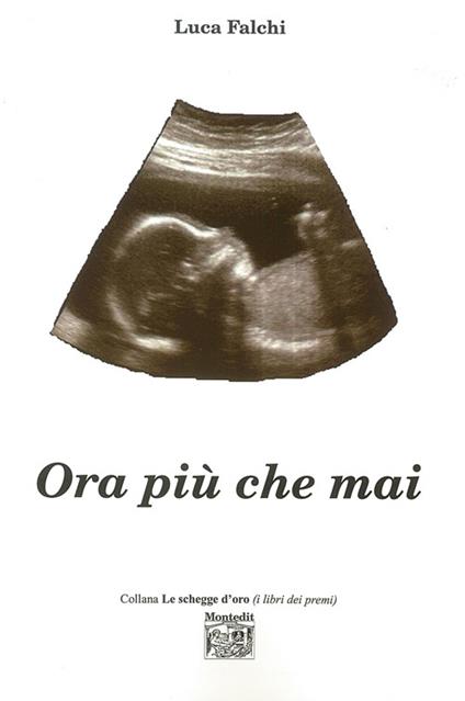 Ora più che mai - Luca Falchi - copertina
