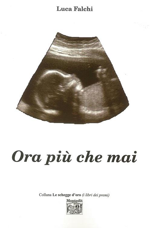 Ora più che mai - Luca Falchi - copertina