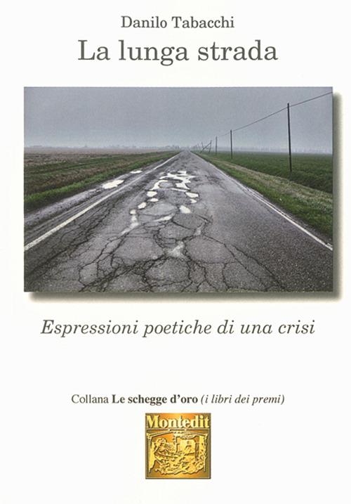 La lunga strada. Espressioni poetiche di una crisi - Danilo Tabacchi - copertina