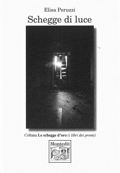 Schegge di luce - Elisa Peruzzi - copertina