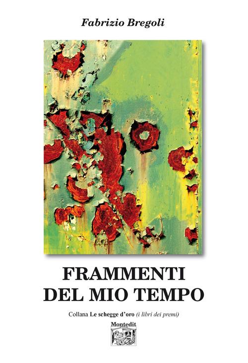 Frammenti del mio tempo - Fabrizio Bregoli - copertina