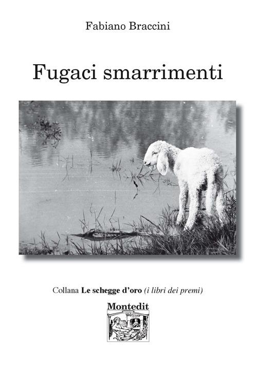 Fugaci smarrimenti - Fabiano Braccini - copertina