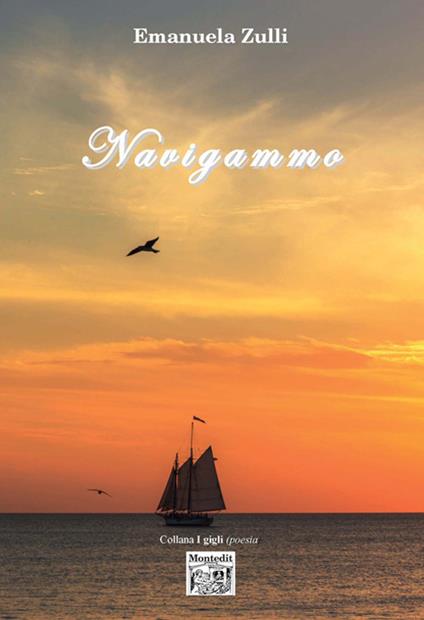 Navigammo - Emanuela Zulli - copertina