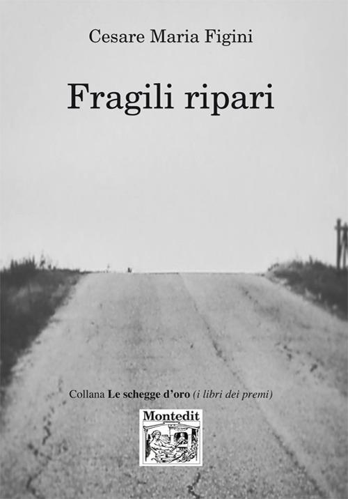 Fragili ripari - Cesare Maria Figini - copertina