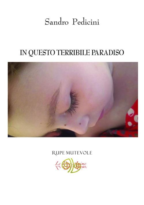 In questo terribile paradiso - Sandro Pedicini - copertina