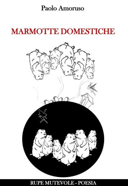Marmotte domestiche - Paolo Amoruso - copertina