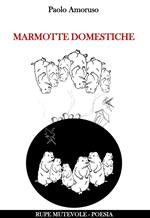 Marmotte domestiche
