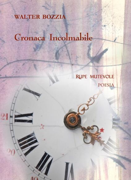 Cronaca incolmabile - Walter Bozzia - copertina