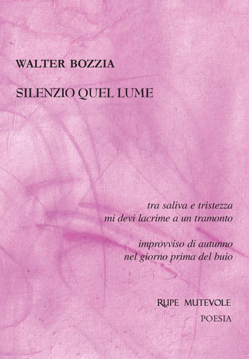 Silenzio quel lume. Sé tristezza allontano non distante - Walter Bozzia - copertina