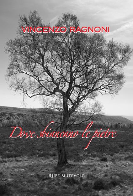 Dove sbiancano le pietre. Nuova ediz. - Vincenzo Ragnoni - copertina