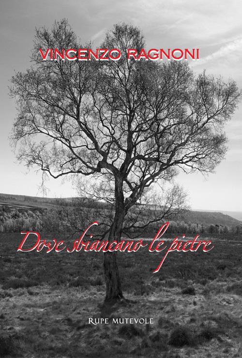 Dove sbiancano le pietre. Nuova ediz. - Vincenzo Ragnoni - copertina