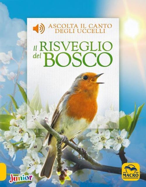 Il risveglio del bosco. Ediz. a colori - Andrea Pinnington,Caz Buckingham - copertina