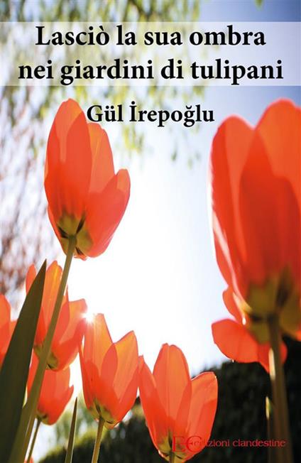 Lasciò la sua ombra nei giardini dei tulipani - Gül Irepoglu,Barbara Gambaccini - ebook
