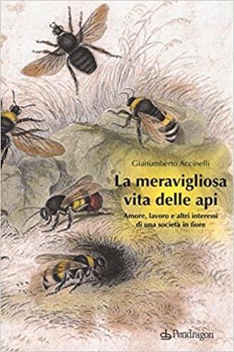 La meravigliosa vita delle api. Amore, lavoro e altri interessi di una società in fiore - Gianumberto Accinelli - 2