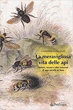 La meravigliosa vita delle api. Amore, lavoro e altri interessi di una società in fiore