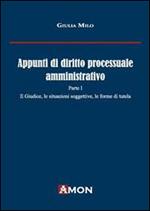 Appunti di diritto processuale amministrativo. Vol. 1: Il giudice, le situazioni soggettive, le forme di tutela.