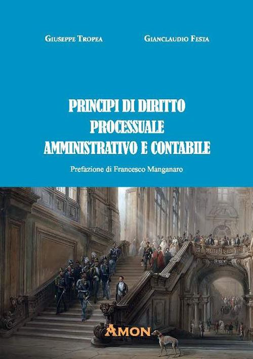 Principi di diritto processuale amministrativo e contabile - Giuseppe Tropea,Gianclaudio Festa - copertina