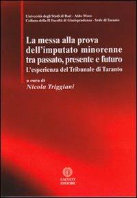 La messa alla prova dell'imputato minorenne tra passato, presente e futuro. L'esperienza del Tribunale di Taranto - copertina