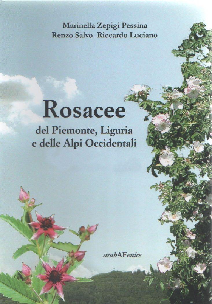 Libreria Biblos di Costa Pierandrea