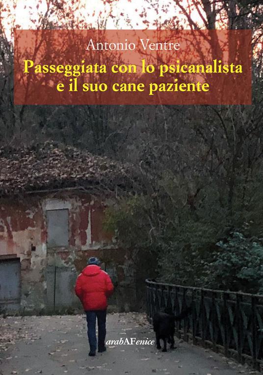 Passeggiata con lo psicanalista e il suo cane paziente - Antonio Ventre - copertina