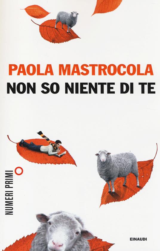 Non so niente di te - Paola Mastrocola - copertina