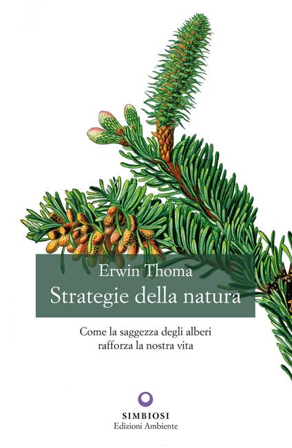 Strategie della natura. Come la saggezza degli alberi rafforza la nostra vita - Erwin Thoma,Laura Castoldi,Loretta Colosio - ebook