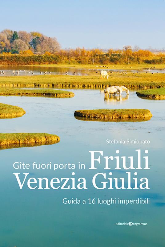 Gite fuori porta in Friuli Venezia Giulia. Guida a 16 luoghi imperdibili - Stefania Simionato - copertina
