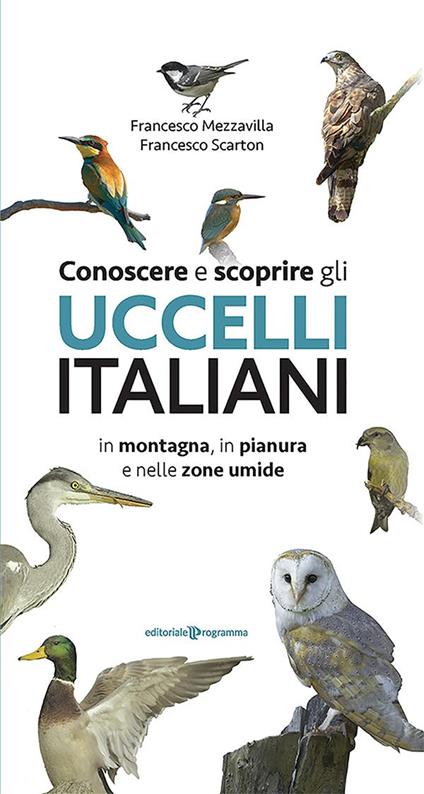 Conoscere e scoprire gli uccelli italiani in montagna, in pianura e nelle zone umide - Francesco Mezzavilla,Francesco Scarton - ebook