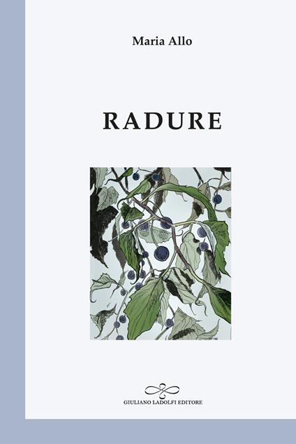 Radure - Maria Allo - copertina