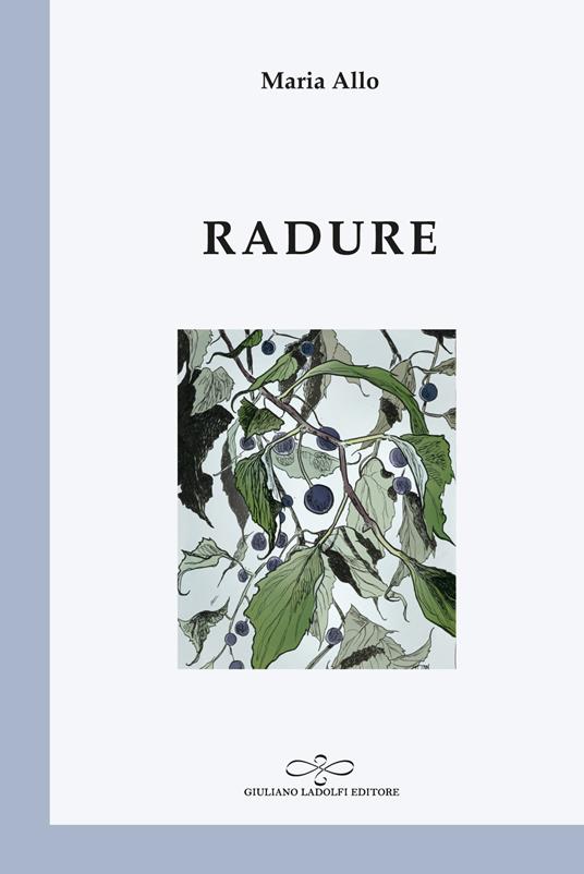 Radure - Maria Allo - copertina