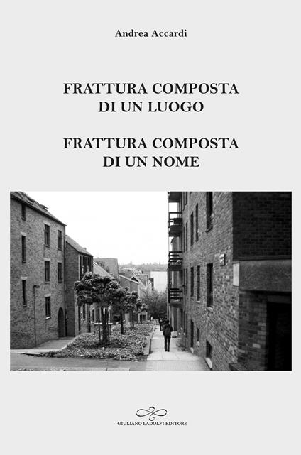 Frattura composta di un luogo. Frattura composta di un nome - Andrea Accardi - copertina