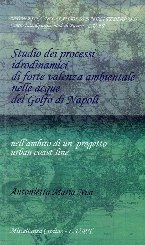 Studio dei processi idrodinamici di forte valenza ambientale nelle acque del golfo di Napoli - M. Antonietta Nisi - copertina