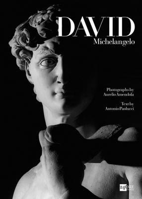 David. Ediz. inglese - Antonio Paolucci,Aurelio Amendola - copertina
