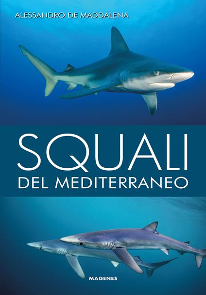 Squali del Mediterraneo. Ediz. a colori - Alessandro De Maddalena - copertina