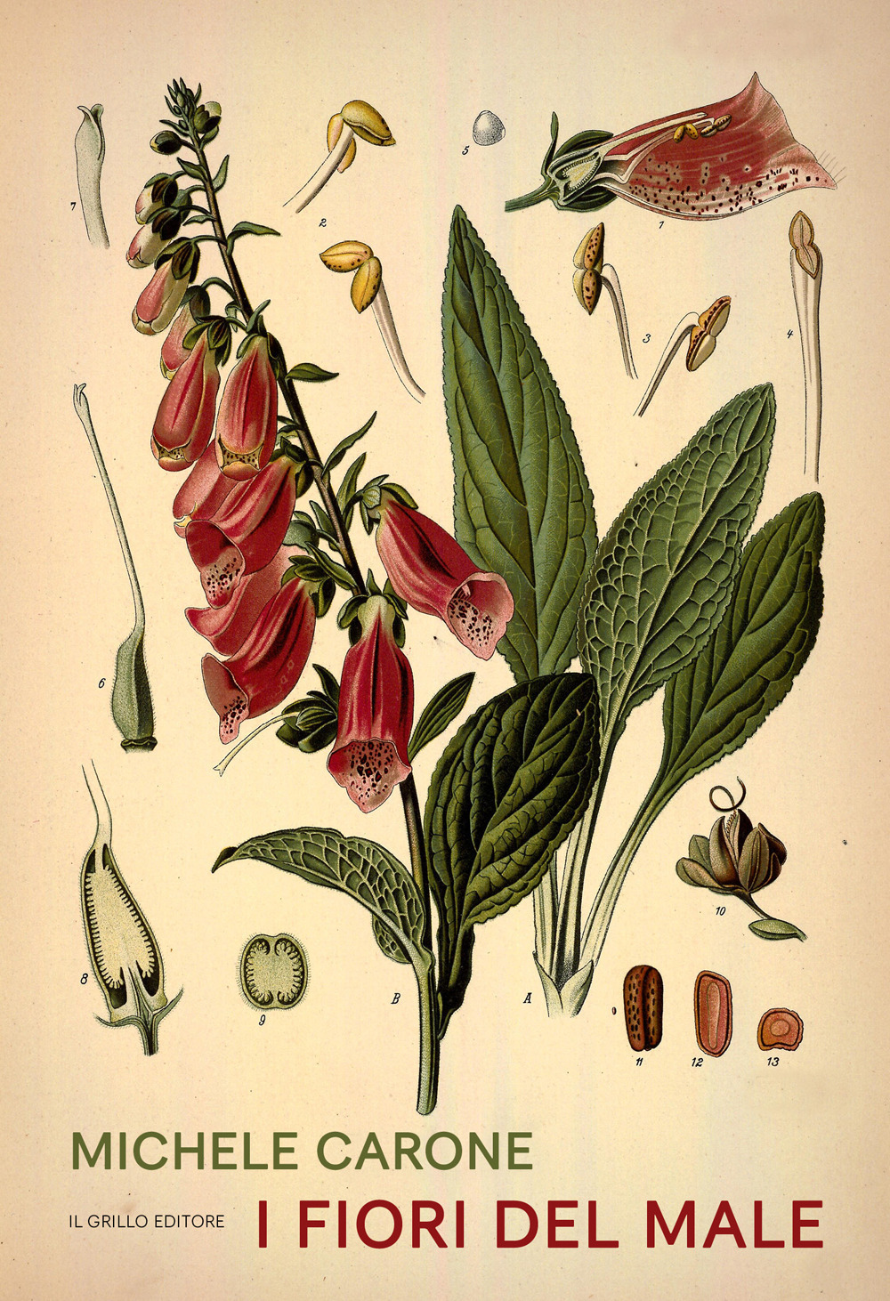 ibs