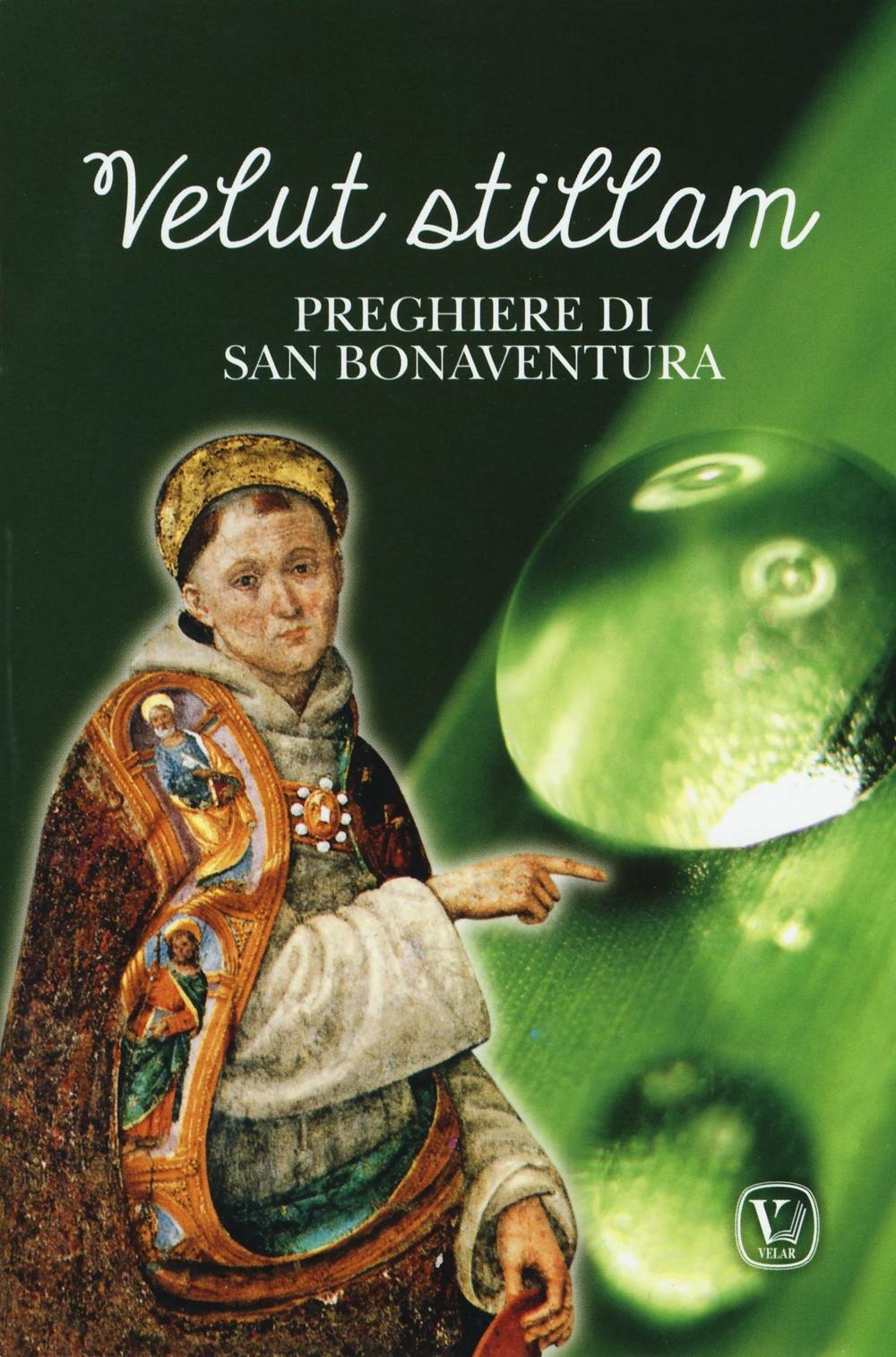 Libreria Bortoloso