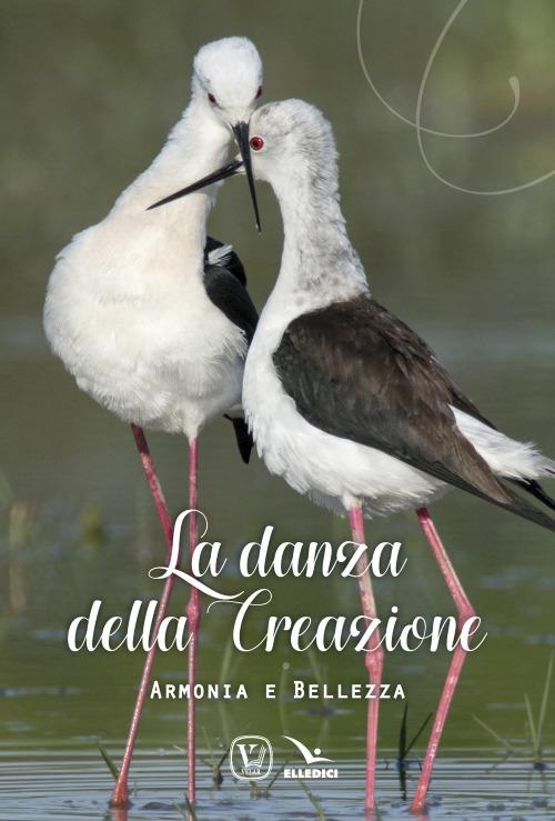 La danza della creazione. Armonia e bellezza - Anna Maria Vissani,Cristiana Filipponi - copertina