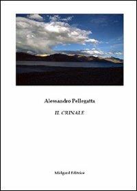 Il crinale - Alessandro Pellegatta - copertina