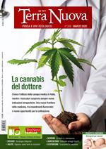 Terra nuova (2020). Vol. 3: cannabis del dottore, La.
