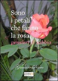 Sono i petali che fanno la rosa. Pensieri di sabbia - Giovanni Pistoia - copertina