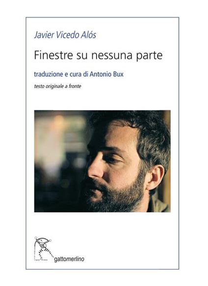 Finestre su nessuna parte - Javier Vicedo Alós - copertina
